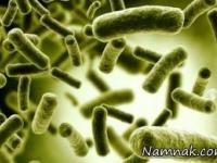 عفونت های باکتریایی