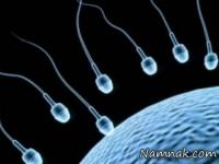 قدرت باروری