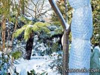 مراقبت از گیاهان