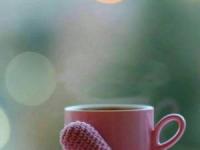 زندگی رویایی 