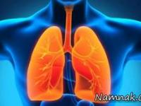 عملکرد ریه ها