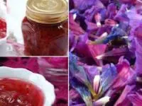مربا گل گاو زبان