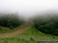 جنگل های ابر 