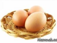 تخم مرغ