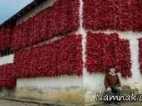 روستایی با طعم فلفل