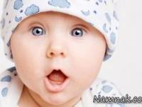 قوانین عجیب 