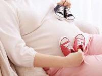 هفته-سوم-بارداری