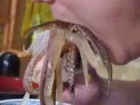 غذای چندش آور