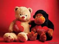 کادوی عاشقانه