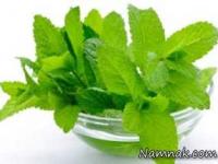 خواص نعناع برای روزه داران