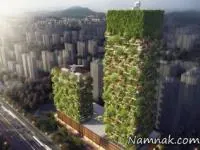 جنگل عمودی