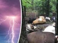 حمله ی موجودات فضایی