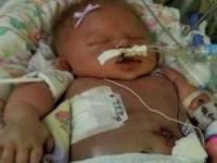 بوسیدن نوزاد