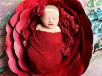 عکس نوزاد قنداقی