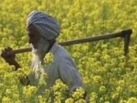 پیرمرد 109 ساله