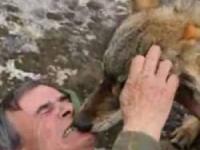 زندگی با گرگ