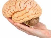 محافظت از مغز