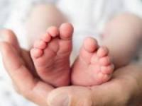 تولد نوزاد