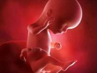 هفته-سیزدهم-بارداری