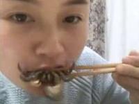 انتقام خرچنگ