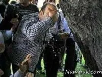 درخت عجیب