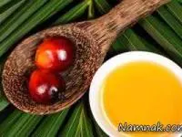 خوراکی های چرب