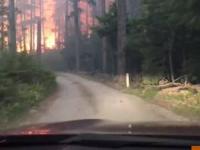 جنگل جهنمی واقعی