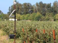 مترسک لیزری