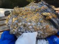 کشف بزرگترین قطعه طلا