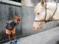 تنها بودن کودک با اسب