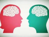 مغز زنان و مردان