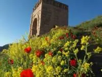 قلعه ضحاک