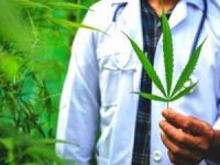 عوارض ماری جوانا