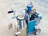 شیردوش برقی گاو