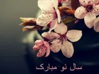 متن جای خالی عزیزان