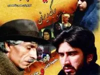 محمود دینی