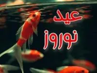 اس ام اس عید