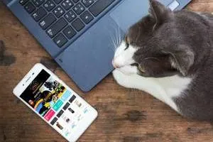 پت استور ، نزدیکترین پت شاپ به منزل شما