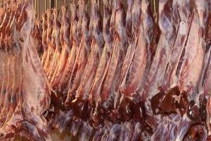 قیمت گوشت قرمز