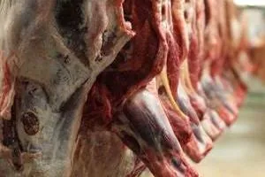 گوشت