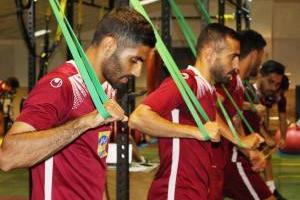 زانوی انصاری