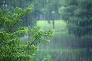 پیش بینی باران
