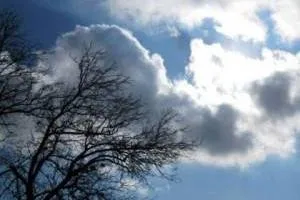 هواشناسی