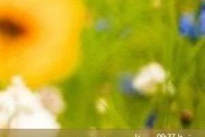 افزودن زبان فارسی به ویندوز