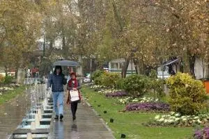 افزایش دمای هوا