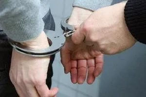 کلاهبردار حرفه ای