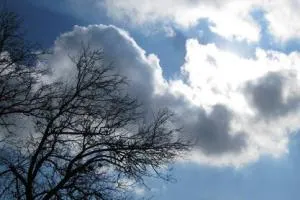 هواشناسی