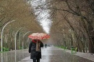 هواشناسی