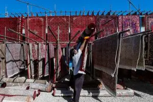 نرخ قالیشویی