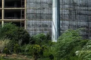 وزش باد شدید